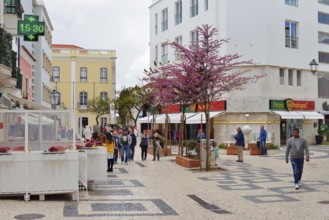 Pedestrian zone with shops, Lagos, Algarve, Portugal