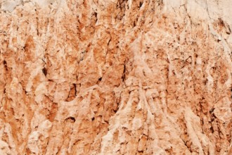 Eroded sandstone cliffs on the coast, Algarve, Portugal