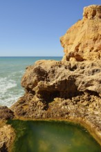 Rocky coastline with tidal duck, Carvoeiro, Algarve, Portugal