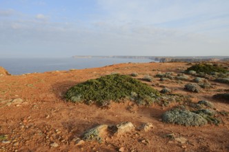 Coastal landscape, Sagres, Algarve, Portugal
