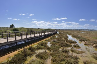 Wooden walkway in a lagoon landscape, Ria do Alvor nature reserve, Alvor, Algarve, Portugal