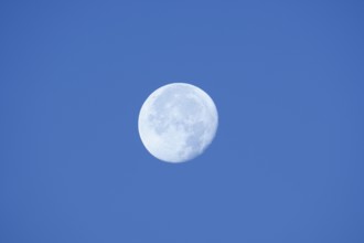 Full moon, North Rhine-Westphalia, Germany