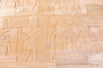 Relief on the double temple of Kom Ombo, Kom Ombo, Egypt
