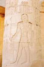 Column with relief, double temple of Kom Ombo, Kom Ombo, Egypt