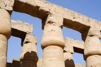Columns, Luxor Temple, Luxor, Egypt