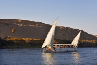 Felucca on the Nile, Egypt