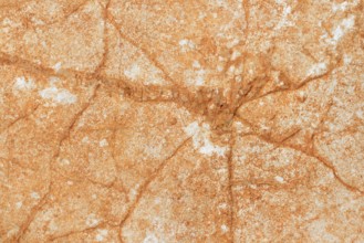 Structure in a stone, Algarve, Portugal