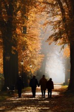 Walkers on an avenue with copper beeches (Fagus sylvatica) in the morning light, autumn, North