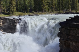 Athabasca Falls waterfall, Athabasca River, Icefields Parkway, Jasper National Park, Alberta,