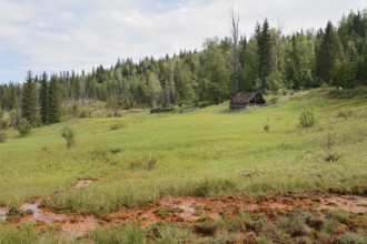 Mineral Springs, Wells Gray Provincial Park, British Columbia, Canada