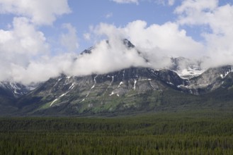 Mountain and clouds, Icefields Parkway, Jasper National Park, Alberta, Canada