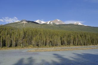 Sunwapta River, Icefields Parkway, Jasper National Park, Alberta, Canada