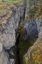 Maligne Canyon, Jasper National Park, Alberta, Canada