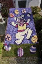 Flower mosaic of hyacinth blossoms, De Zilk, South Holland, Netherlands