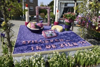 Flower mosaic of hyacinth blossoms, De Zilk, South Holland, Netherlands
