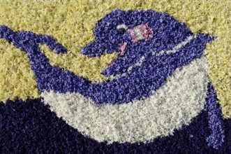 Floral mosaic of a dolphin made of hyacinth blossoms, De Zilk, South Holland, Netherlands