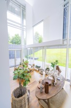 Bright room with plants and decorations, flooded with daylight through large windows, Frieder Burda