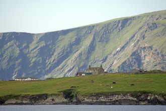 A remote house stands in green pasture against a dramatic mountain backdrop, Sumburgh, Shetland