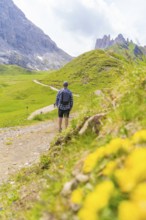 Man walking along a path leading through green meadows with foreground flowers, Alpe di Siusi,
