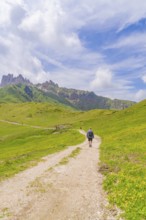 Hiker walking on a path through a green mountain landscape, Alpe di Siusi, Dolomites, South Tyrol,