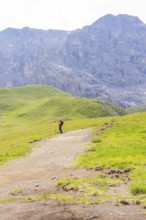 Person standing on a path through green meadows with rocky mountains in the background, Alpe di