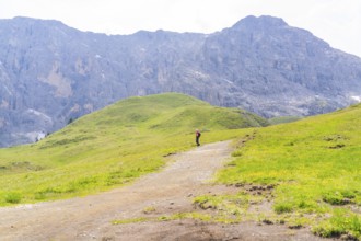Lone person on a hiking trail in a vast, green mountain landscape, Alpe di Siusi, Dolomites, South