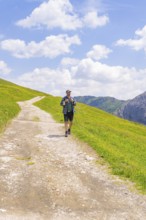 A hiker walks on a path amidst green meadows under a blue sky with clouds, Alpe di Siusi,