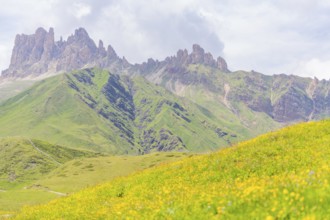 Mountain landscape with flowering meadows and dramatic mountain peaks, Alpe di Siusi, Dolomites,