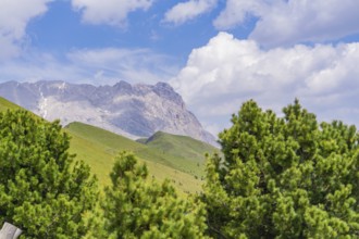 Mountain landscape with conifers and blue sky with clouds, Alpe di Siusi, Dolomites, South Tyrol,