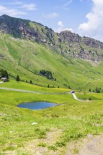Small lake in a green, hilly landscape under a blue sky, Alpe di Siusi, Dolomites, South Tyrol,