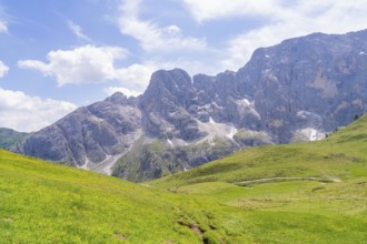 An expansive mountain landscape with green meadows under a partly cloudy sky, Alpe di Siusi,