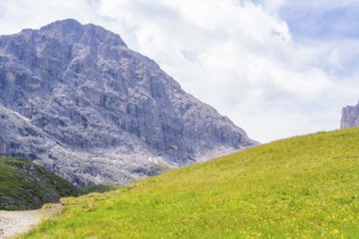 Large mountains rise above a green meadow under a cloudy sky, Alpe di Siusi, Dolomites, South