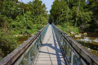 Long suspension bridge over a river, surrounded by dense forest, summer, Lake Matheson, Fox