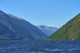 View over a lake between green mountains under a cloudless sky, summer, Lake Rotoiti, Saint Arnaud,