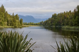 A calm lake in morning light, surrounded by dense trees and mountains in the distance, summer, Lake