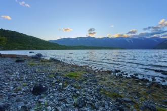 Rocky beach at dusk, calm lake with mountains in the background, summer, Lake Rotoiti, Saint