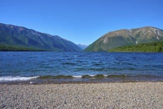 Wide view over a pebble beach to a lake surrounded by mountains, summer, Lake Rotoiti, Saint