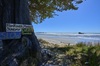 Beach with sea view and a tree with signs in front of it, Fox River, West Coast, South Island, New