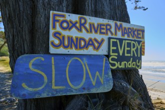 Colourful signs on a tree overlooking the beach, Fox River, West Coast, South Island, New Zealand
