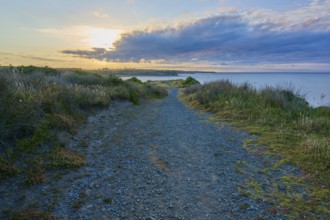 Pebble path along the coast at sunset, clouds and grass in the foreground, summer, Opunake,