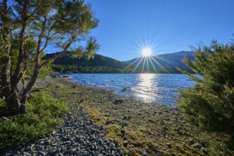 Sunbeams bathe the calm lake and the wooded shores in a warm light, summer, Lake Rotoiti, Saint