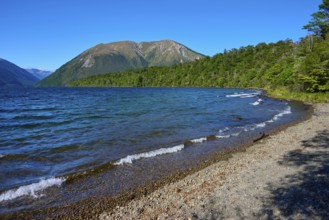 Clear water lapping at a pebbly shore, surrounded by green forests and majestic mountains, summer,