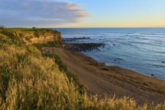Steep coast with sandy beach in the evening, vegetation in the foreground, summer, Opunake,