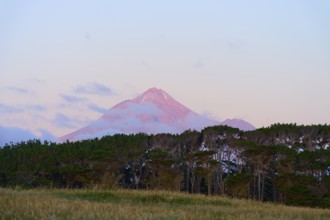 A volcano Mount Taranaki at dusk behind a row of trees with a slightly cloudy sky, summer, Opunake,