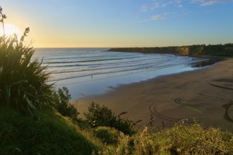 Spacious sandy beach by the sea at sunset, surrounded by vegetation, summer, Opunake, Taranaki,