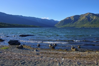 Waves crashing on a pebbly shore, surrounded by impressive mountains and clear blue skies, summer,