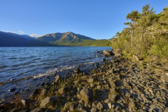 Pebble-covered shore with trees, the lake glistens under a clear sky with distant mountains,