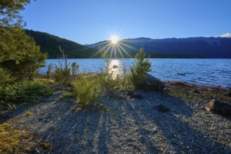 Sunbeams over a lake with mountains and plants in the foreground, summer, Lake Rotoiti, Saint