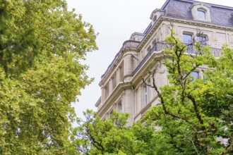 A historic building with an elaborate façade, surrounded by green trees, radiates elegance, Baden