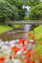 River with a decorative bridge, lined with flowers and lush nature, conveys a peaceful atmosphere,